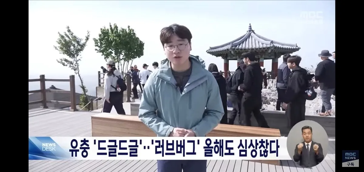 올해 러브버그 벌써 심상치않다네요..