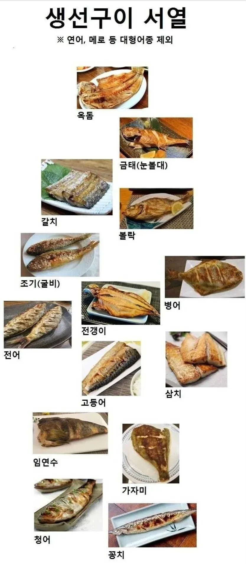 생선구이 서열 정리
