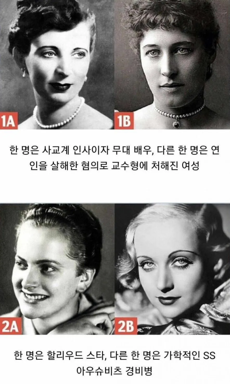 언니들 몇 개 맞췄나요?