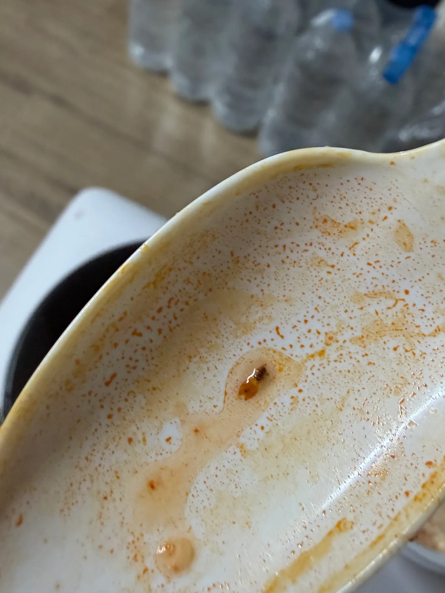 혐짤.. 배고파서 밥 시켰는데 날파리 나옴 ㅋㅋㅋ2