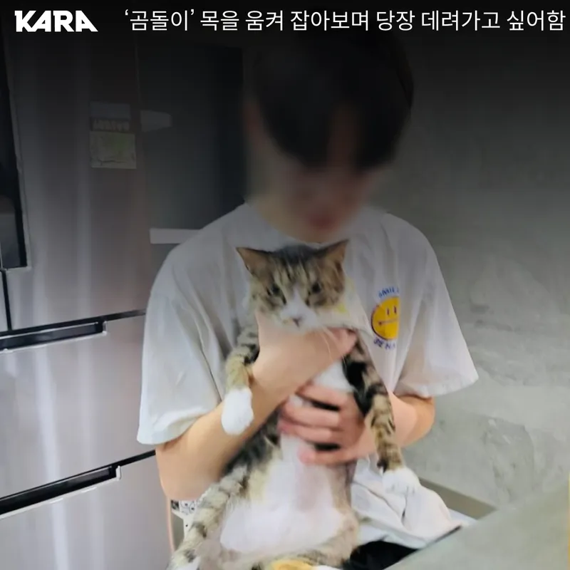 이래서 남자새끼한테 개나고양이 입양시키면안됨2