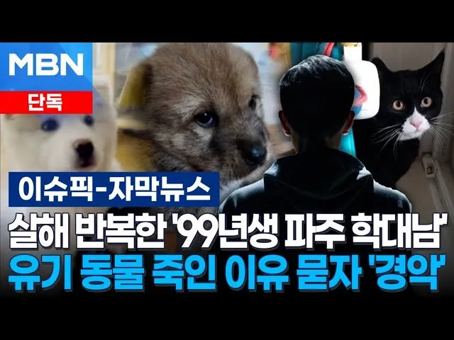 이래서 남자새끼한테 개나고양이 입양시키면안됨3