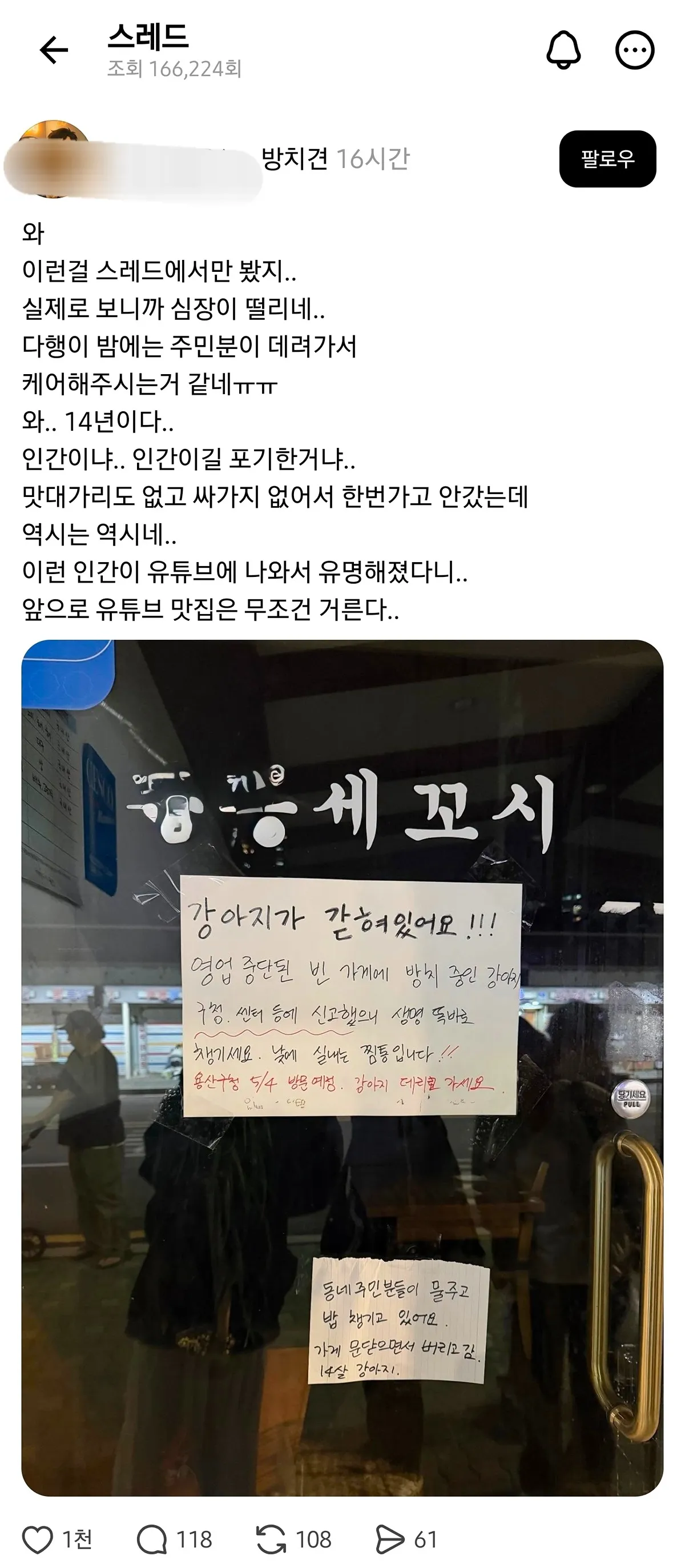 가게 문 닫으면서 14살 강아지를 버리고 간 용산 횟집