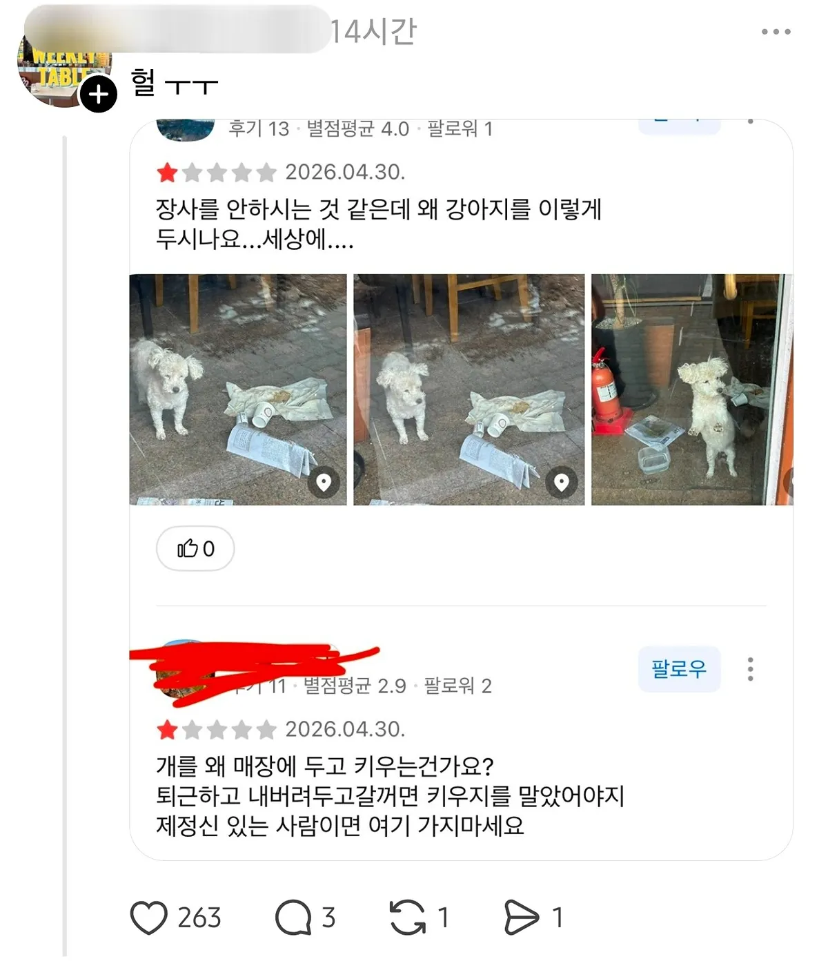 가게 문 닫으면서 14살 강아지를 버리고 간 용산 횟집2
