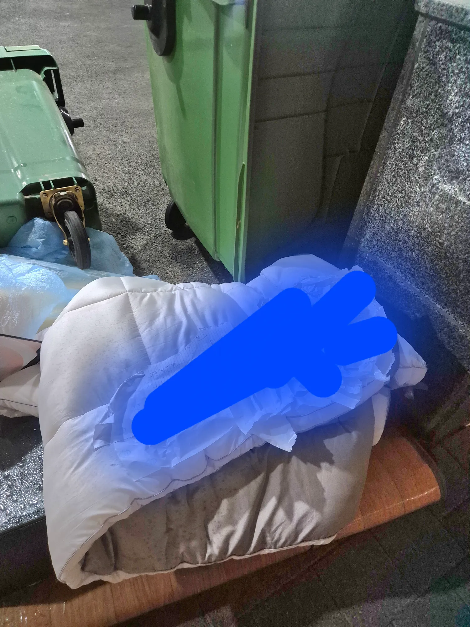 흰동이 겅도이 동금이 산책완료 내이삿짐창녀들3