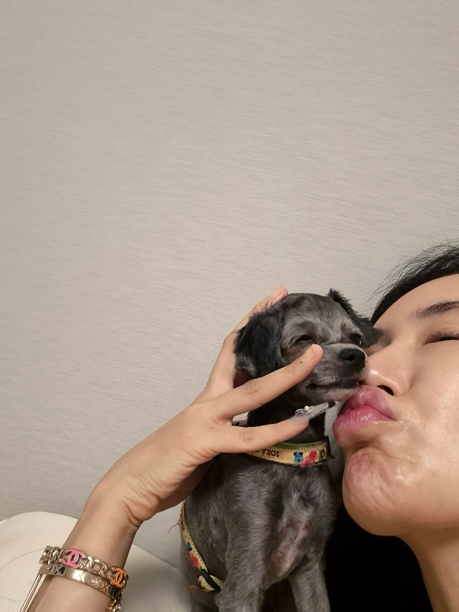 흰동이 겅도이 동금이 산책완료 내이삿짐창녀들 댓글