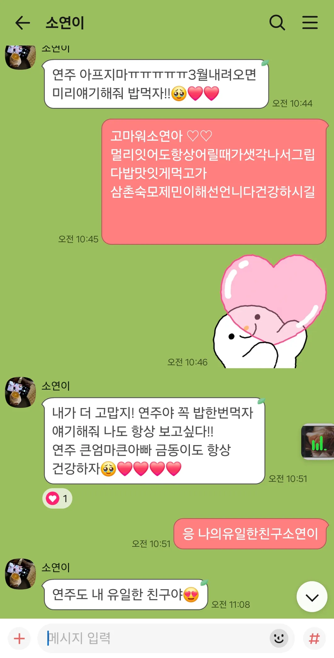 흰동이 겅도이 동금이 산책완료 내이삿짐창녀들 댓글 4