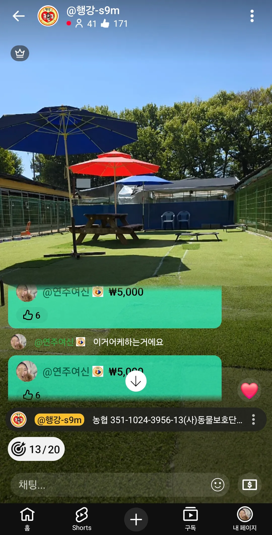 개린이날 후원했어요 연주2