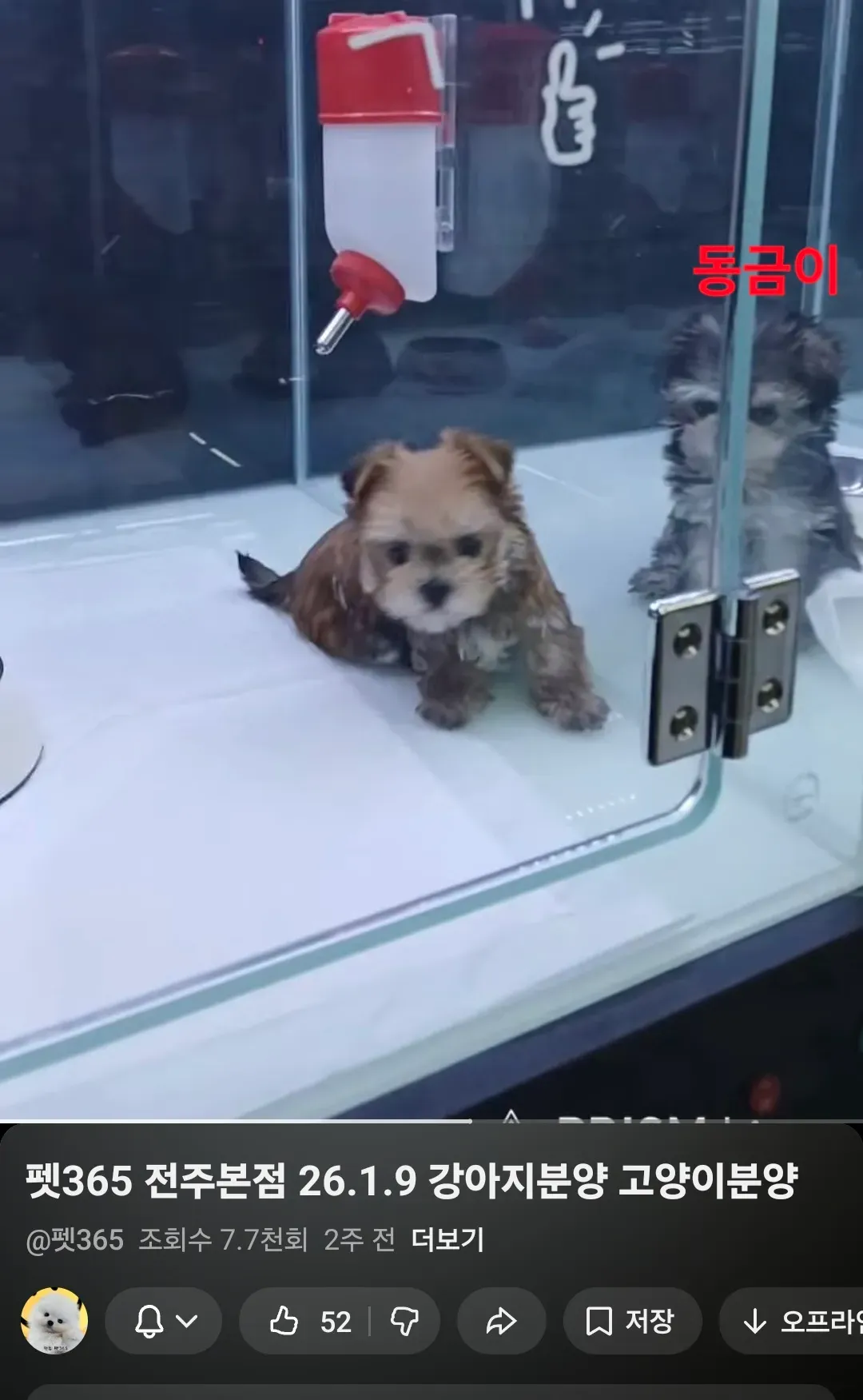 대박