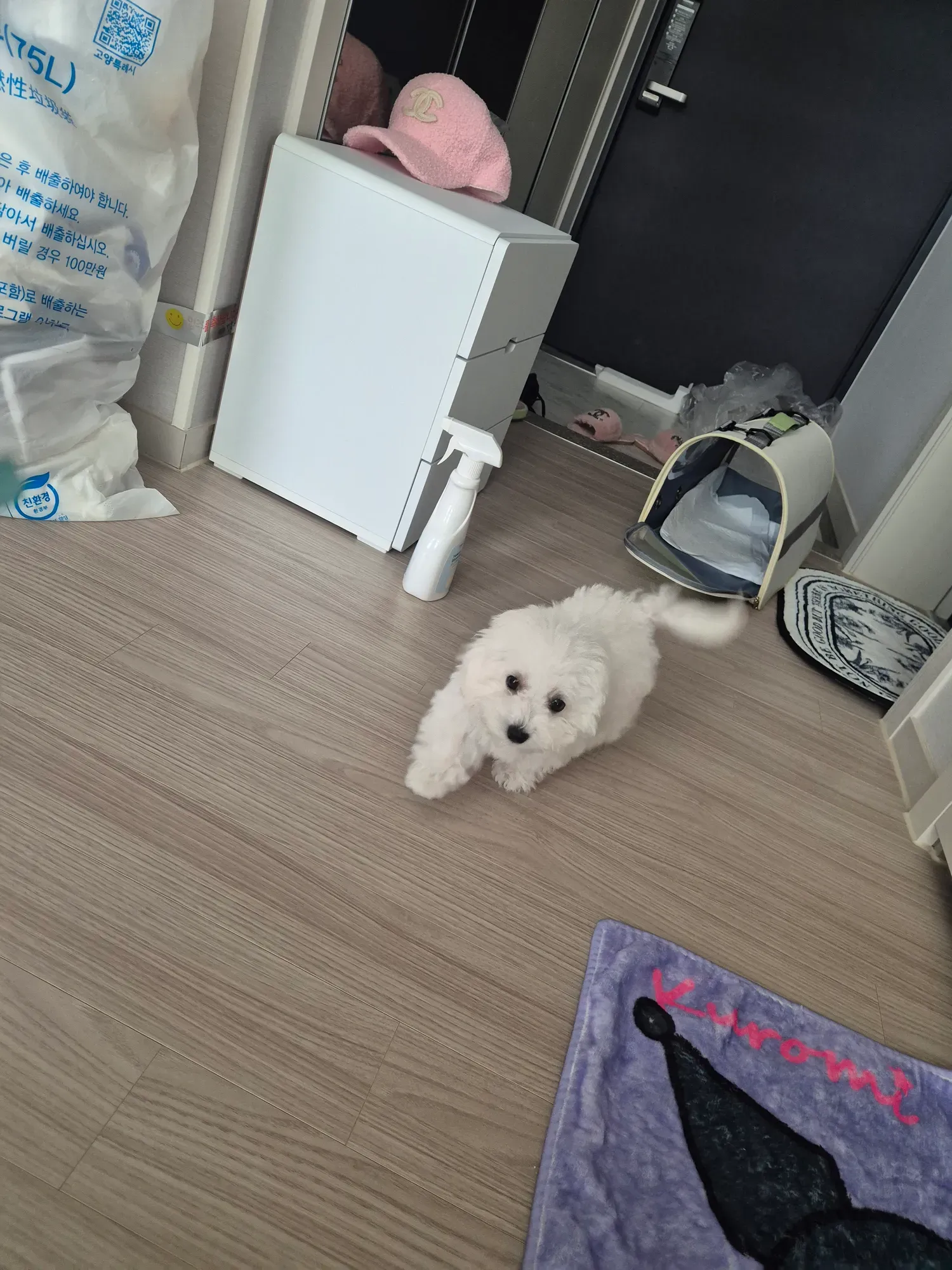 대박5