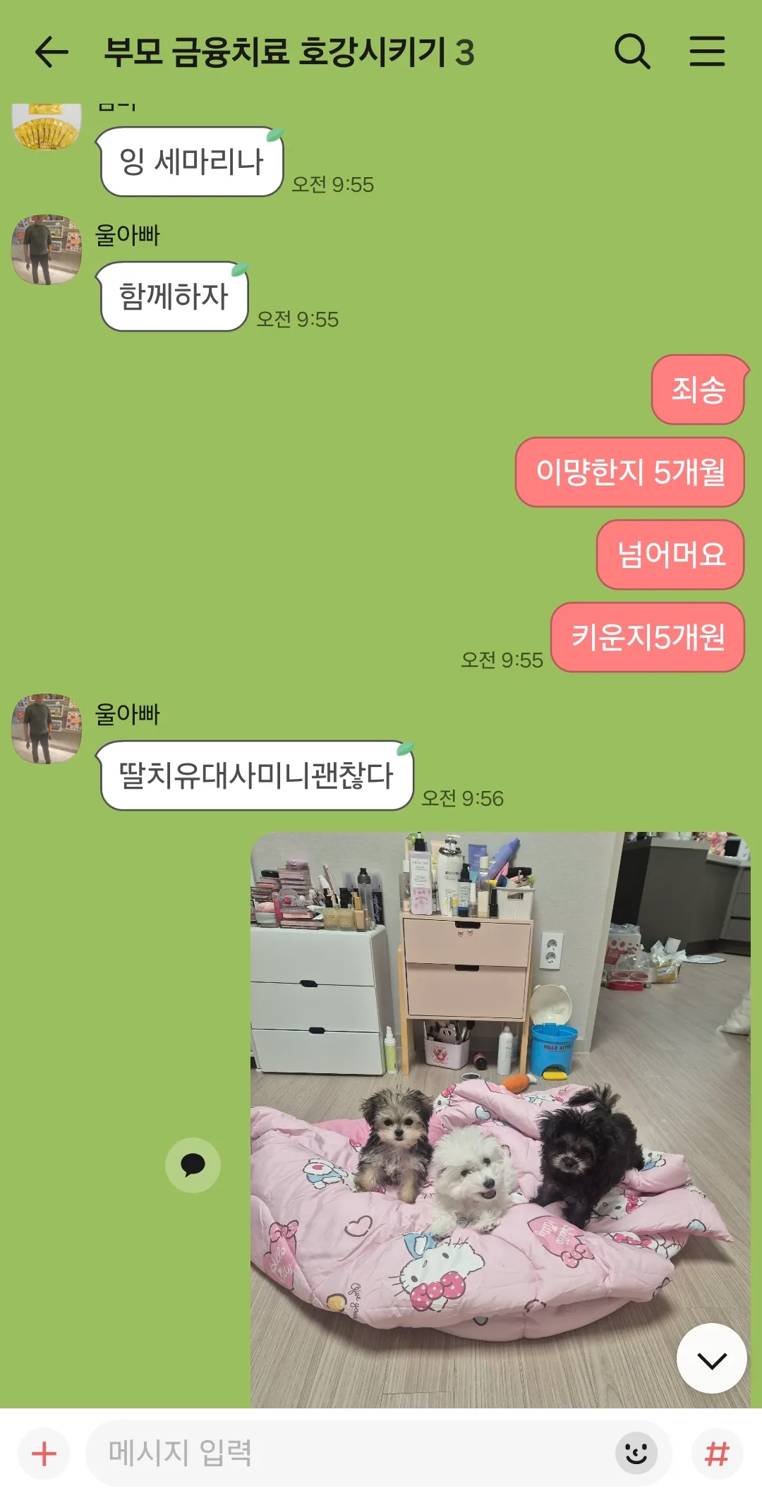 나 연주인데 아빠랑살기로햇는데 금동이가 댓글 2