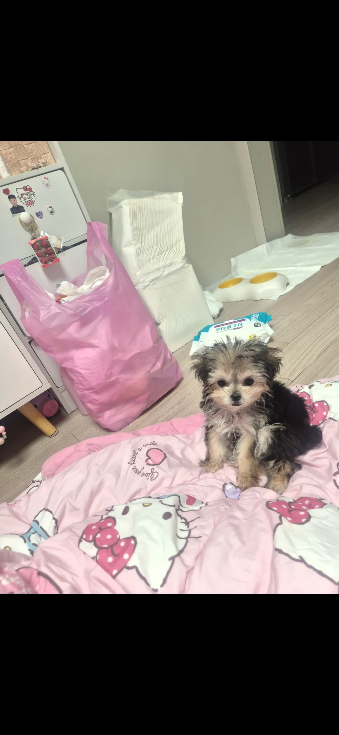 대박 우리딸 아기때4