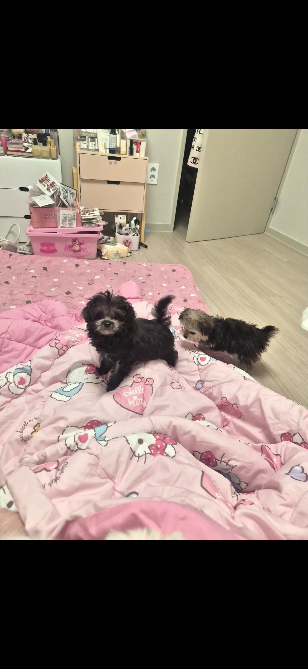 대박 우리딸 아기때7