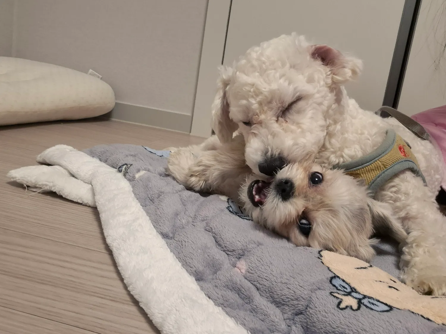 강제추행2