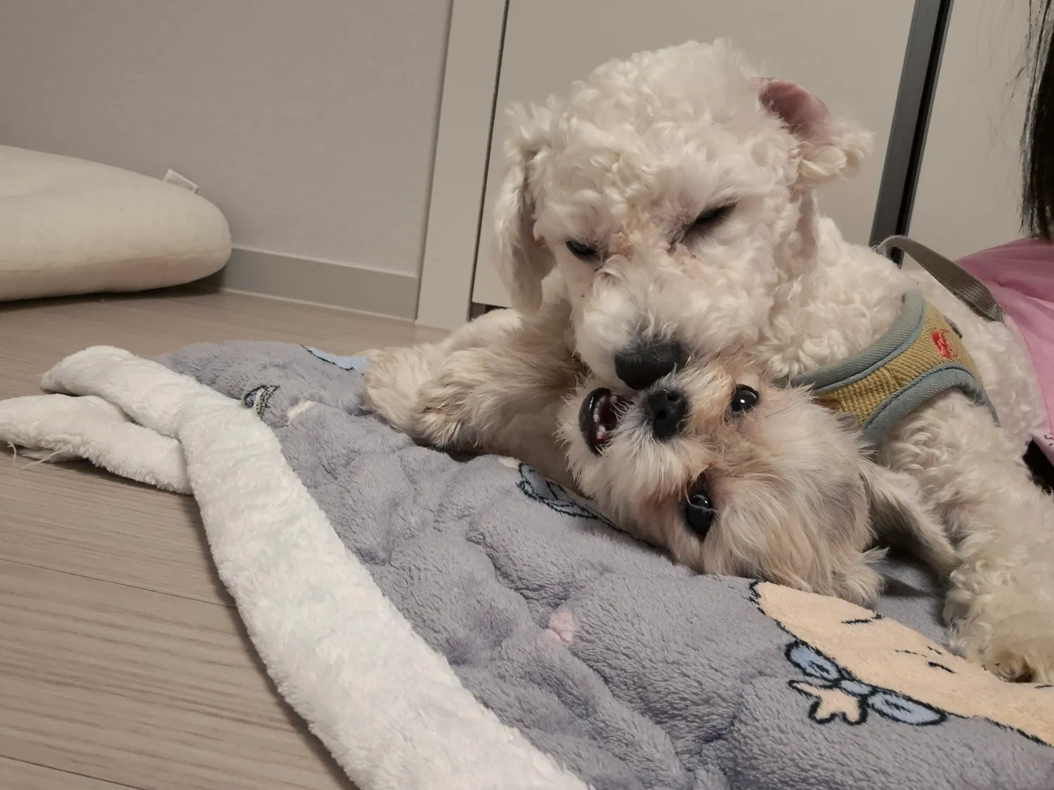 강제추행3