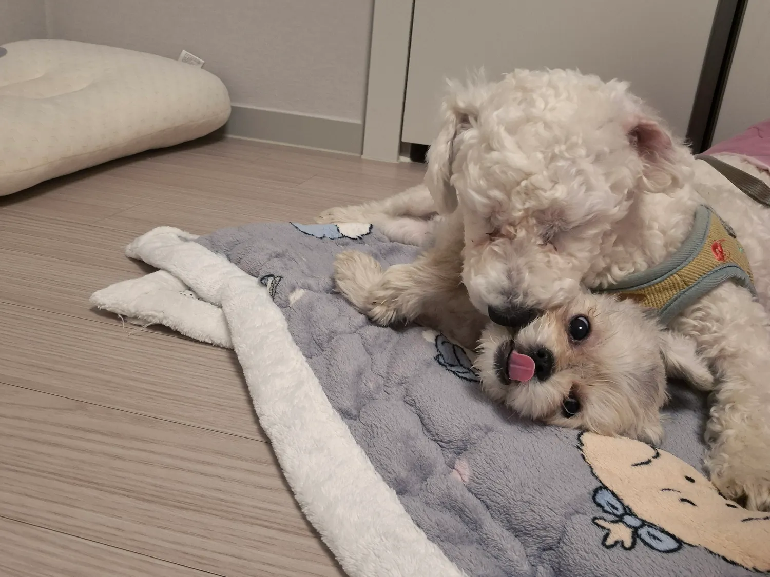 강제추행4