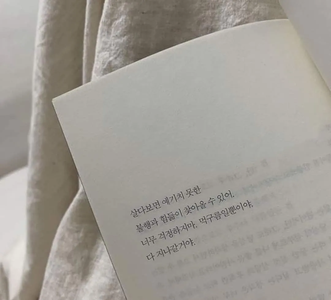 언니들 댓글
