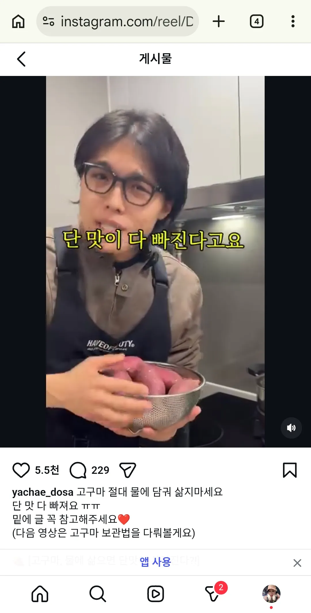 개들 고구마삶아주려는데 집에찜기얷는데 댓글