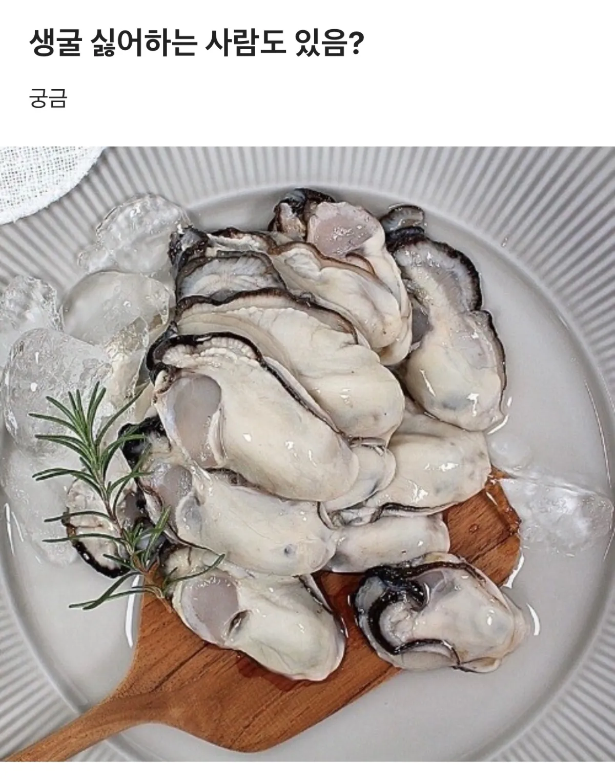 언니들은 생굴 좋아하시나요?