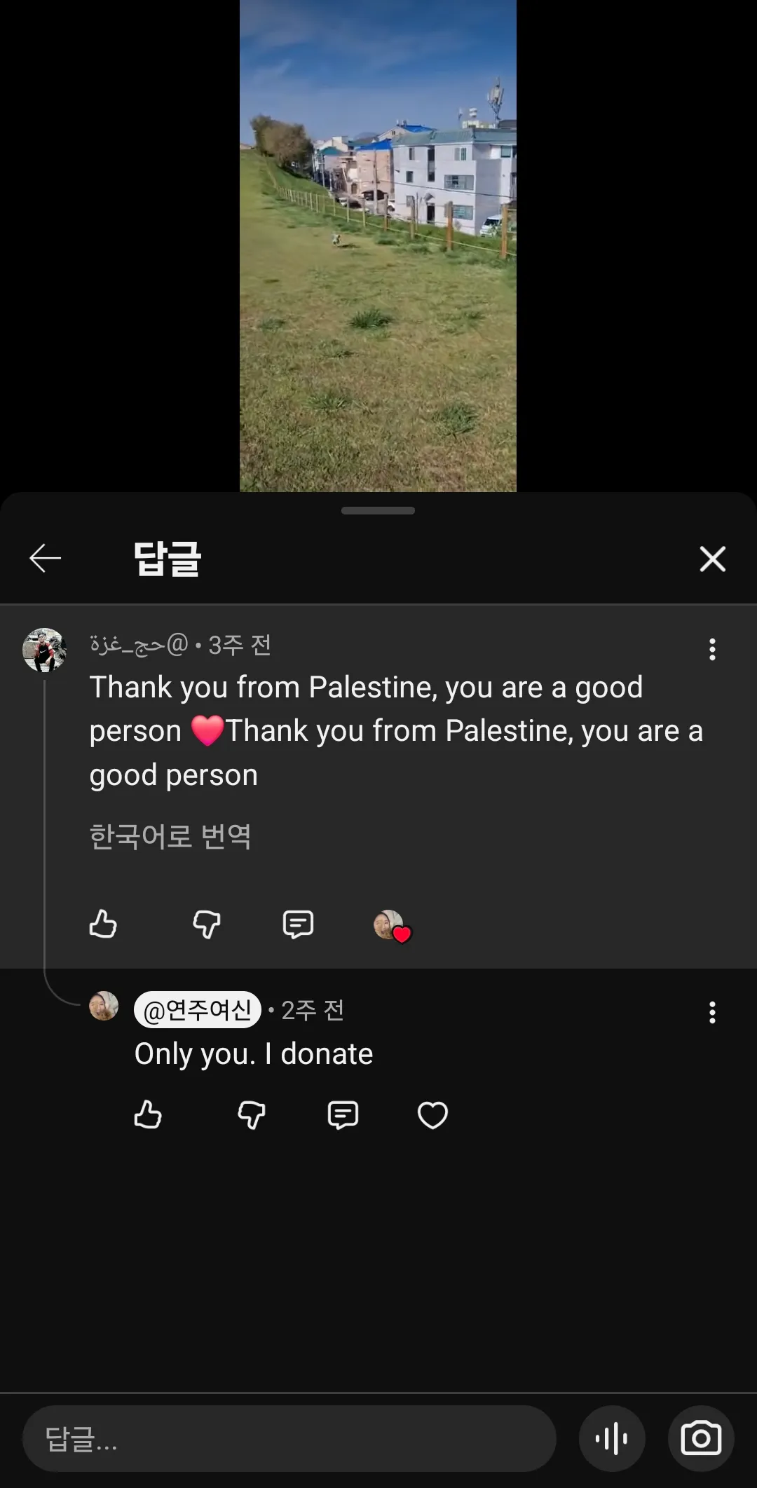연주는 유기견묘보호소에 후원자주하는데 댓글