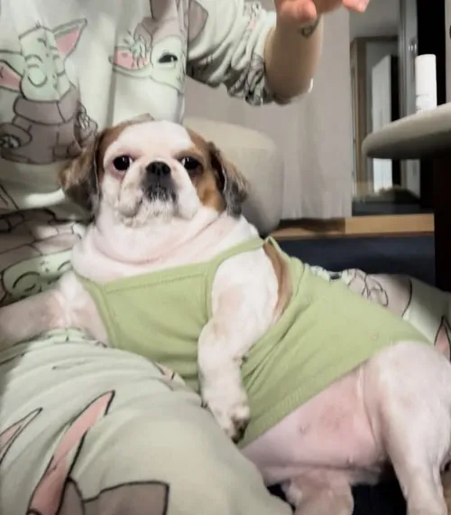 비쥬얼 봐요
