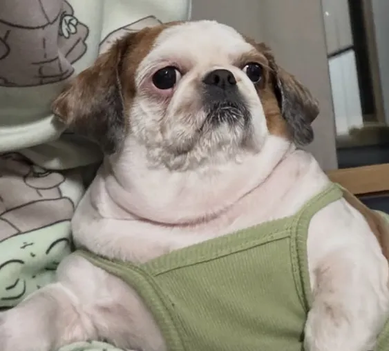 비쥬얼 봐요2
