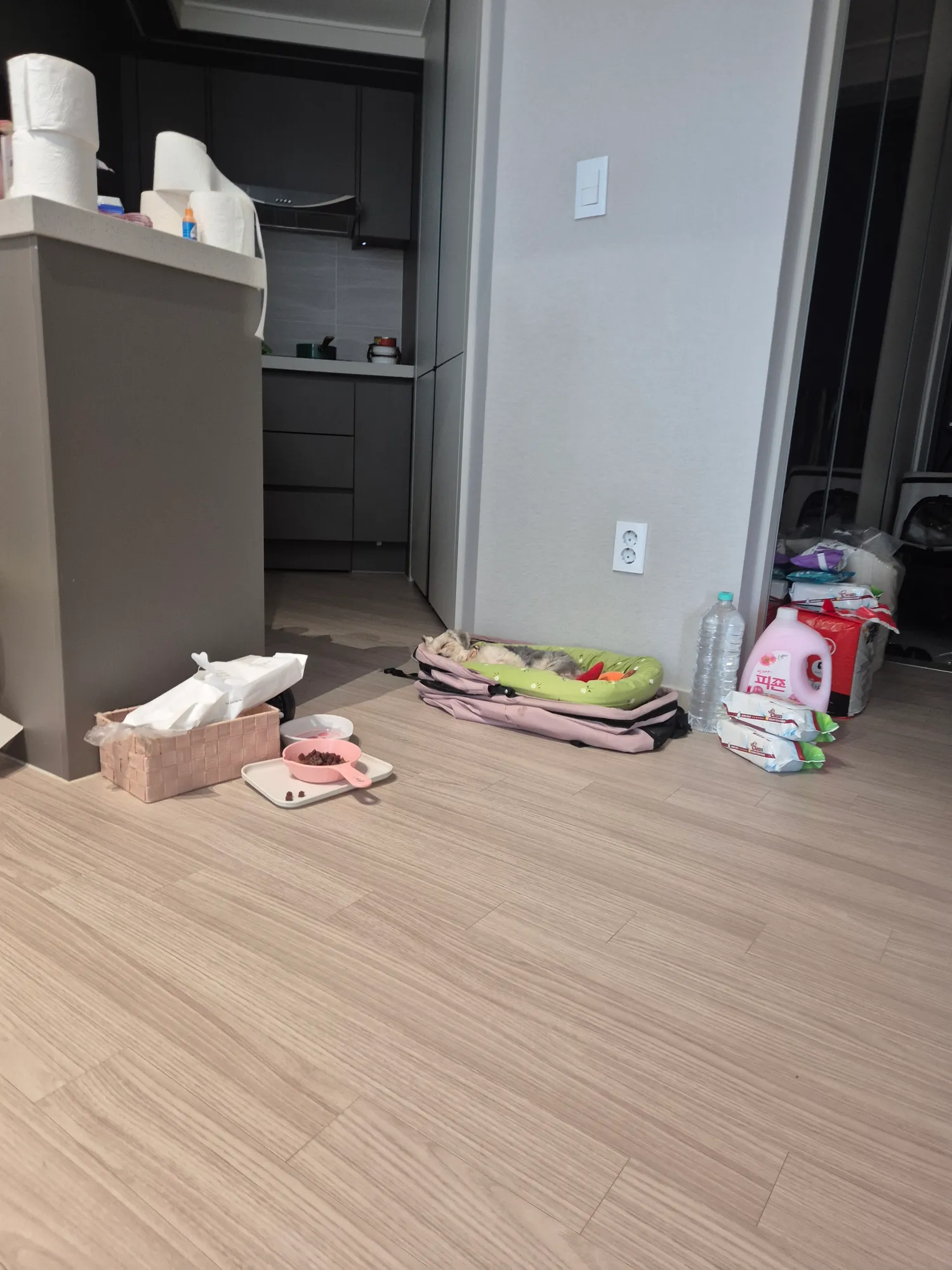 나지금공황잣애왓는데 응급실 부르면돈내? 댓글 2