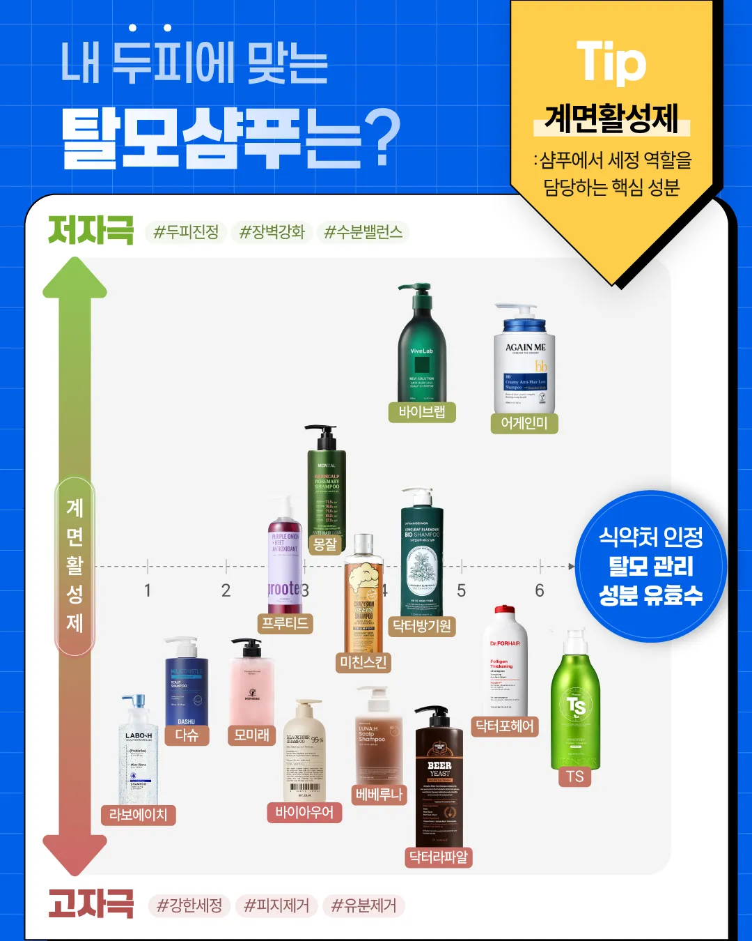 민감성/지성 두피별 탈모샴푸 추