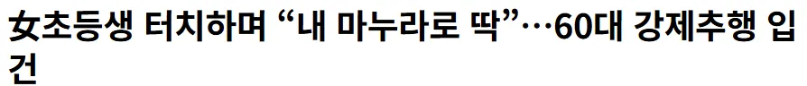 60대 강제추행 입건
