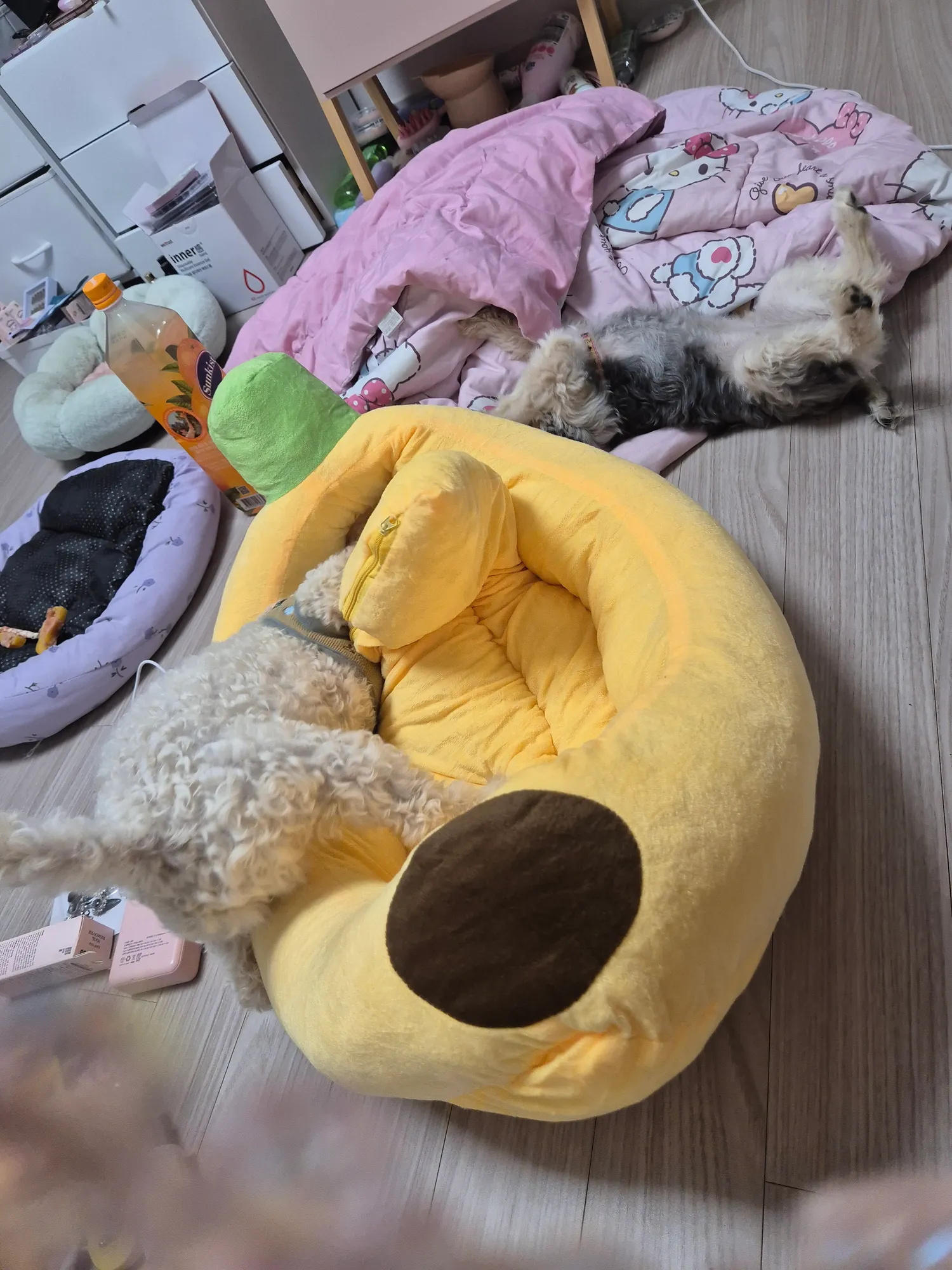 바바나침대 알려준 버블아 고마워ㅠㅠㅠ 댓글 2