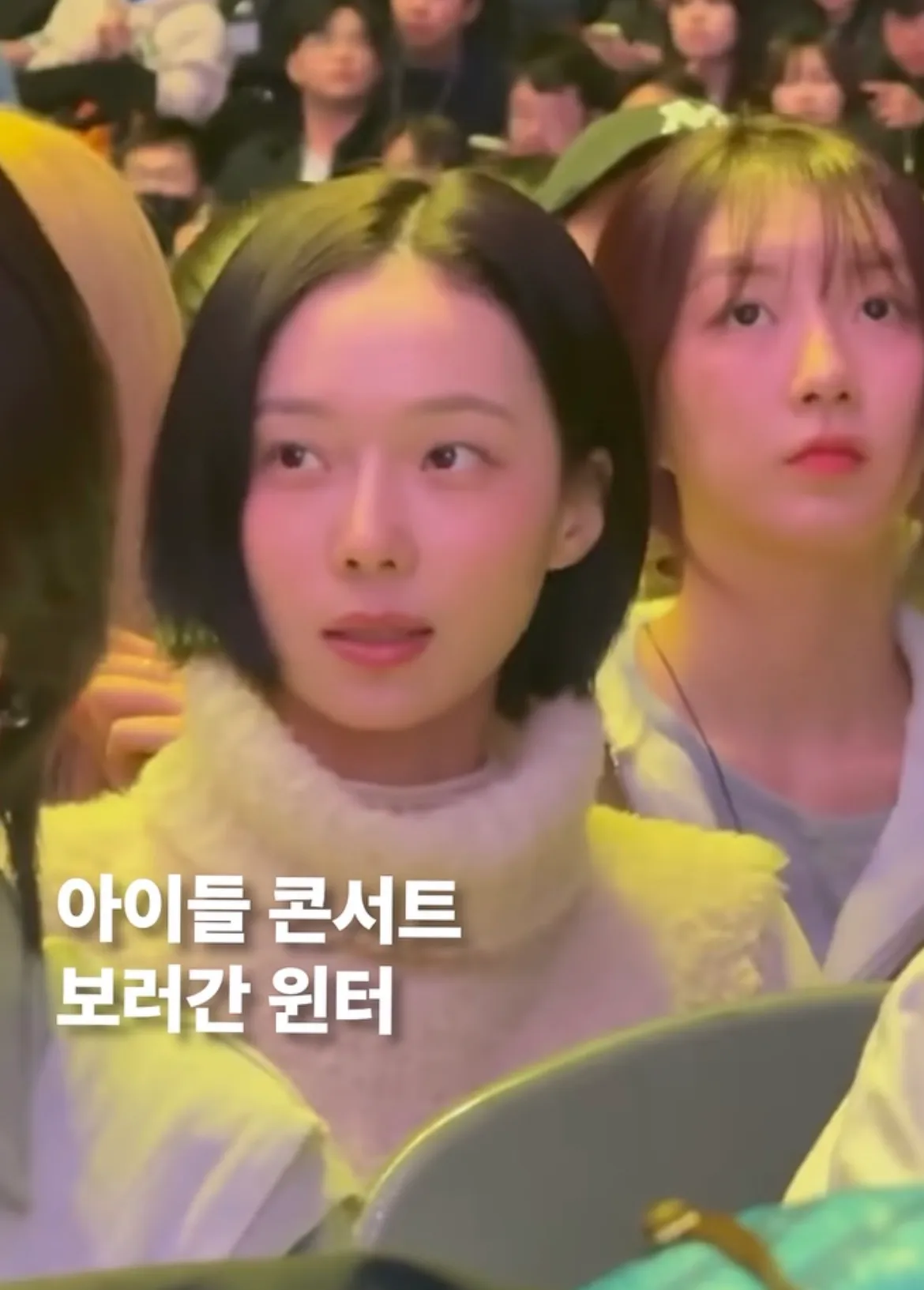 윈터 이거 생각보다 평범