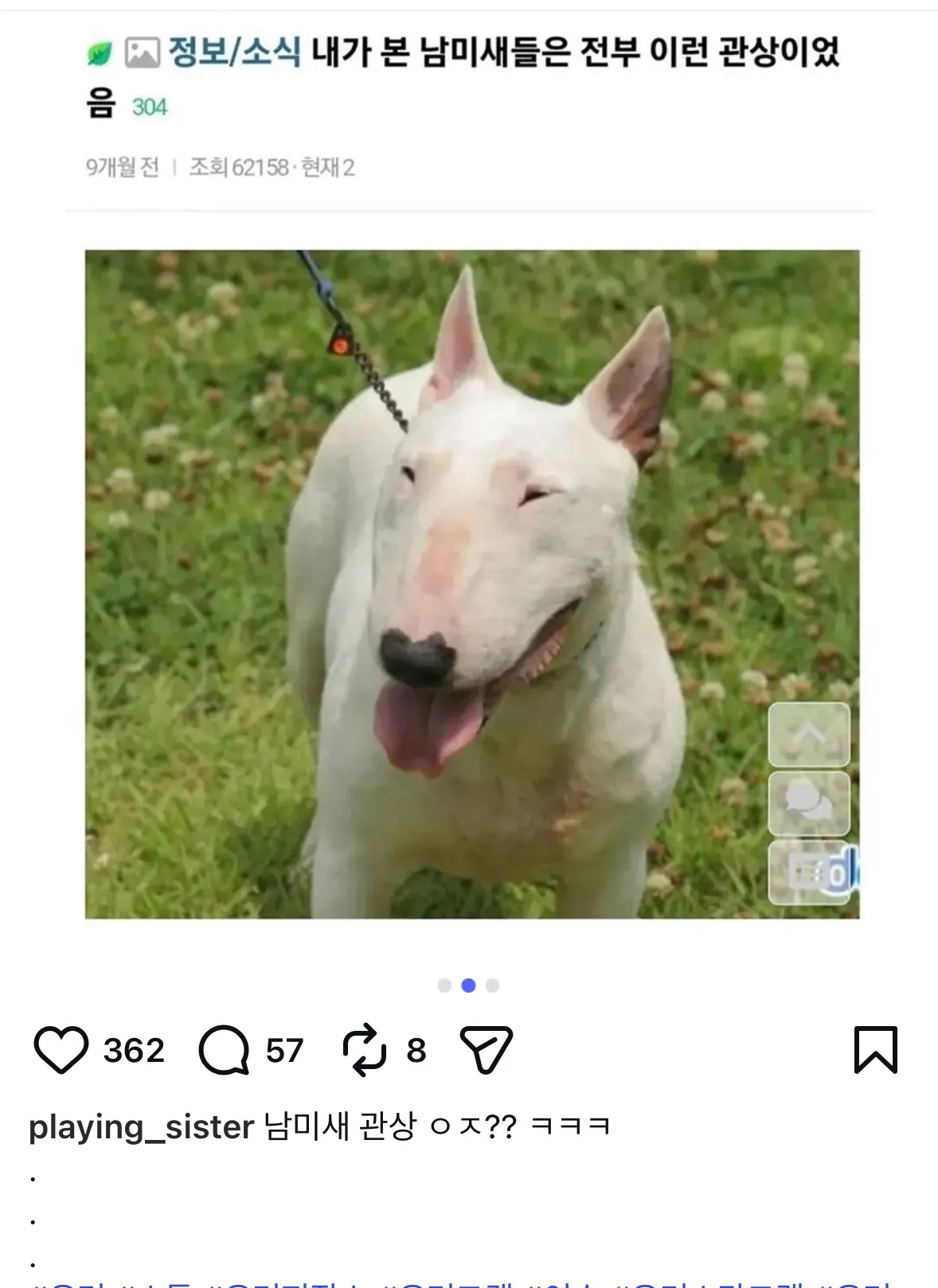 남미새 관상