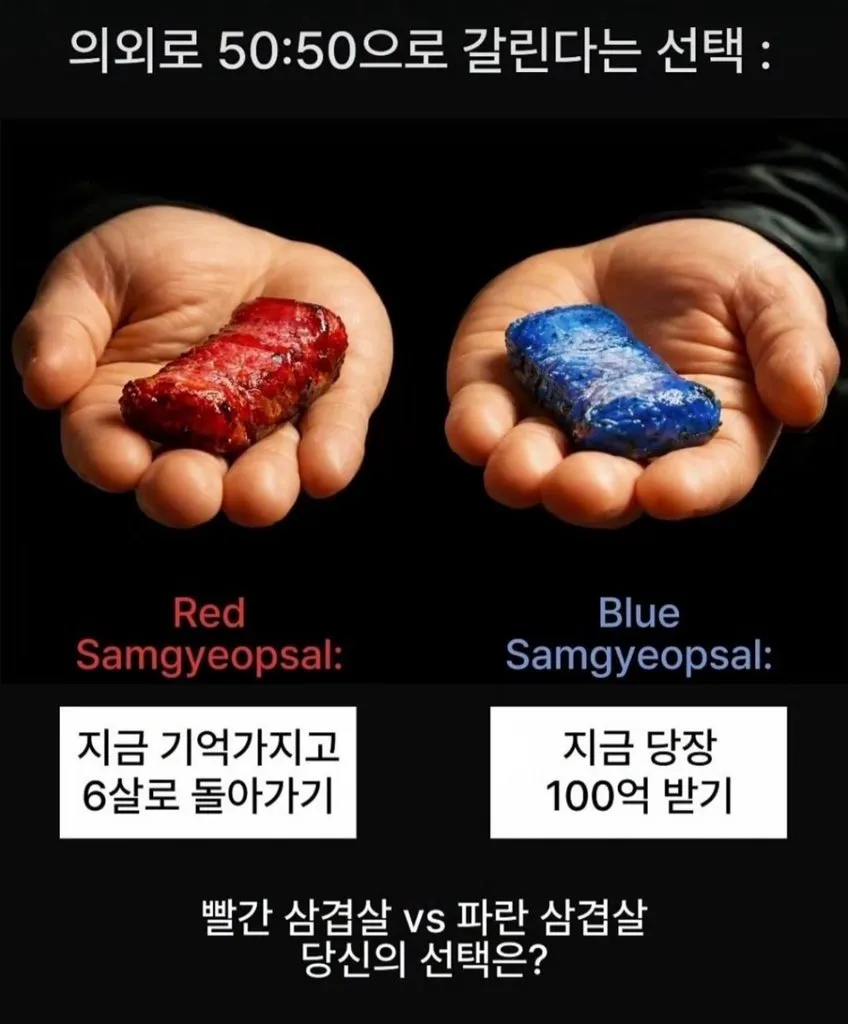 언니들은 둘중에서 어떤거 고르실껀가요??