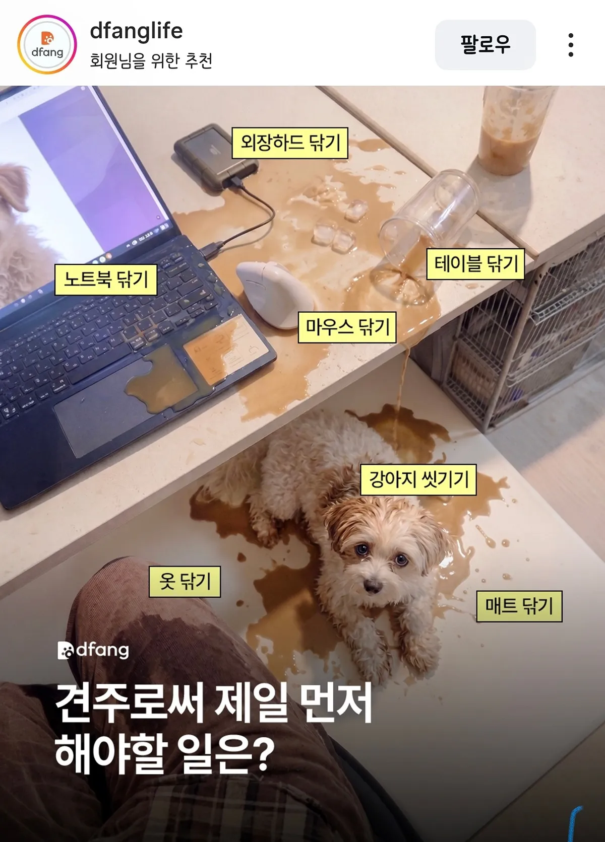 견주로서 제일 먼저 해야 할 일은?