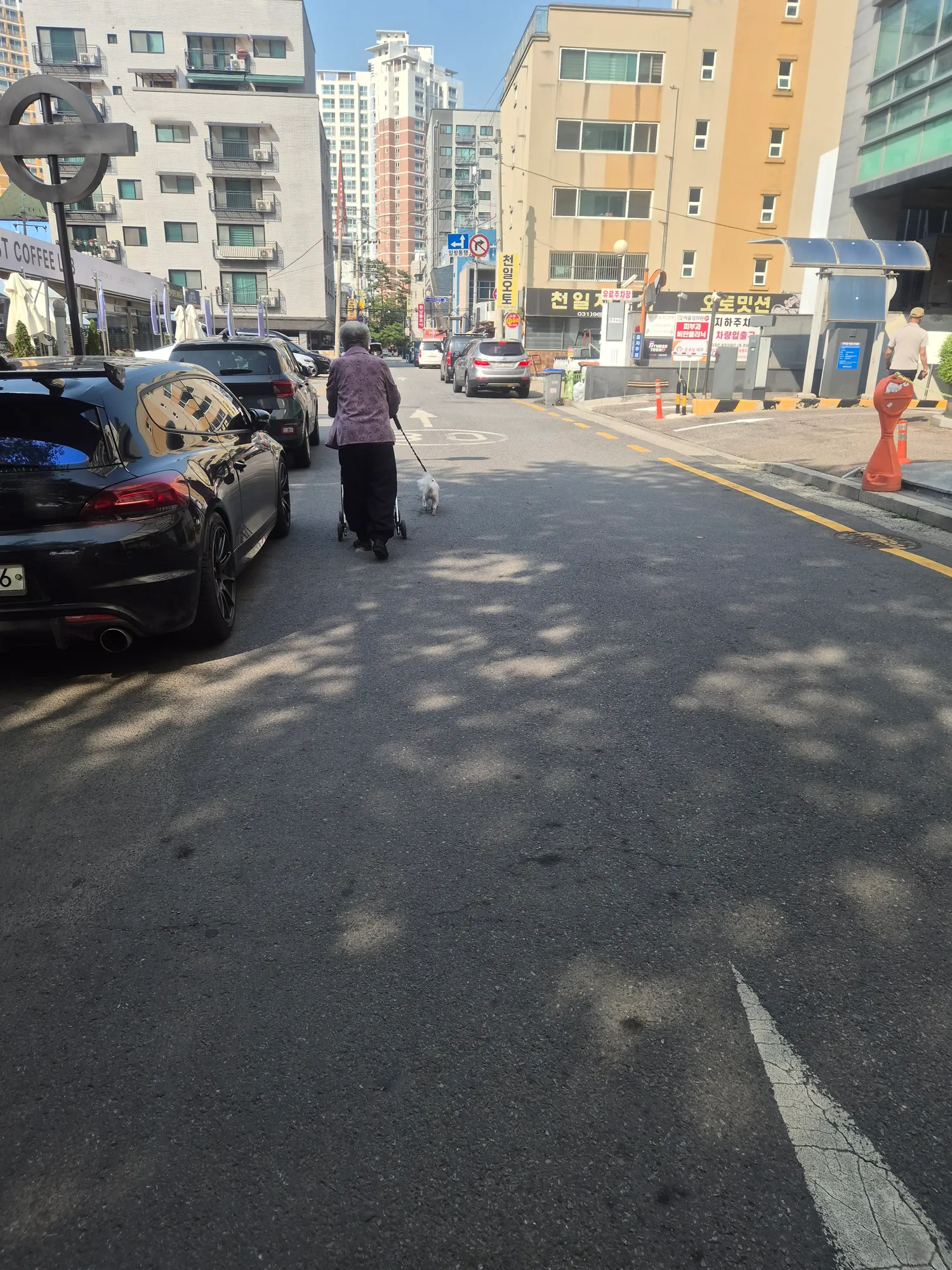 경기도고양시는 진짜 노인분들도 강아지다키우시는듯2