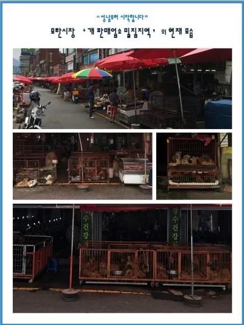 왜 자꾸 지방지방 거리는지 이해가 안되요 댓글