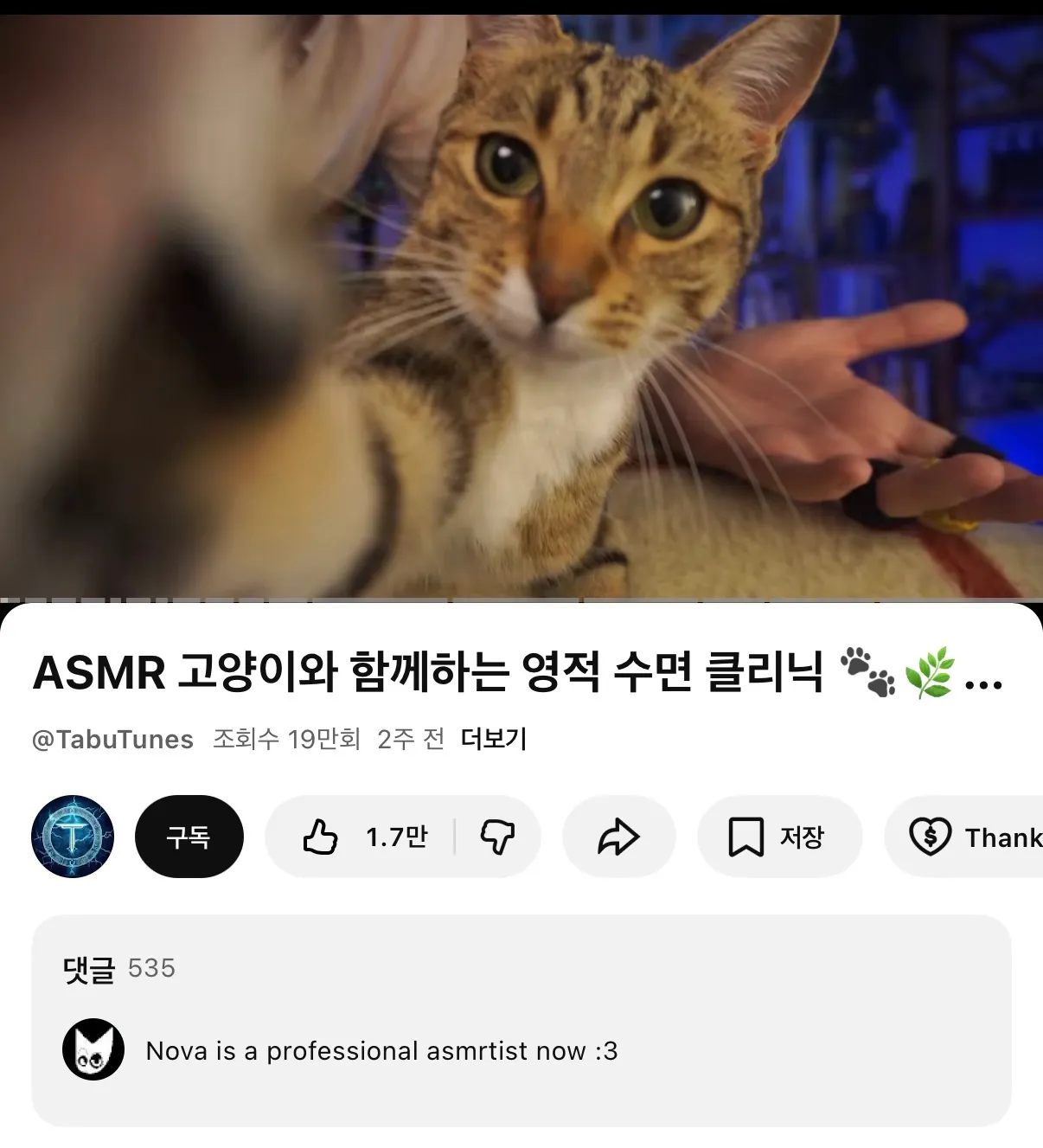 asmr듣는데 썸네일 못 참고 들어옴