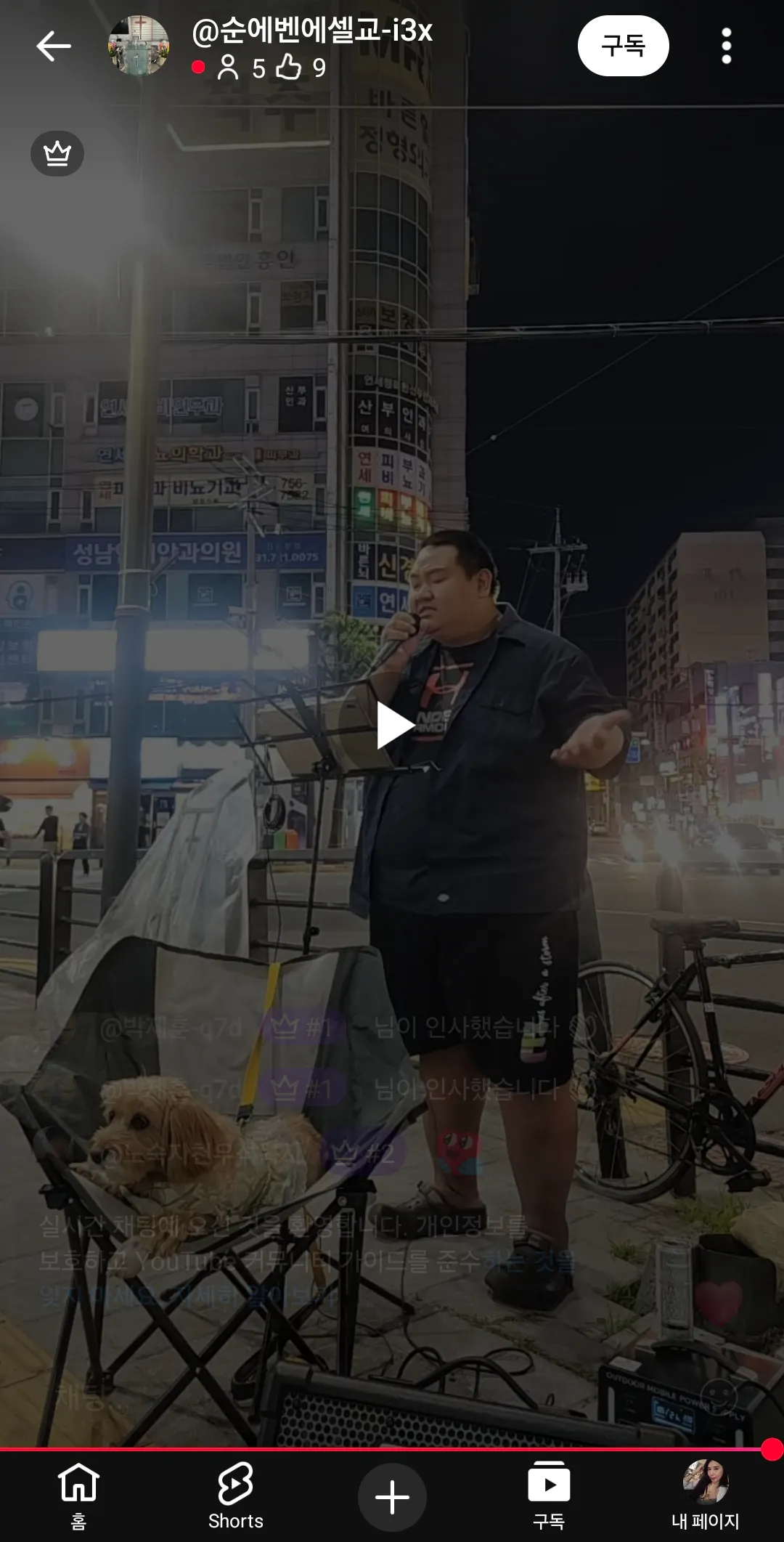 유뚜브보는데 강아지 불쌍하다 노래듣기싫을듯