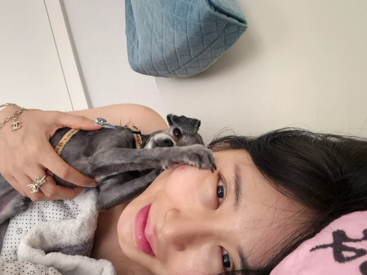 연주 어제 인형쇼핑에 23만원쓴듯 (?) 댓글 15