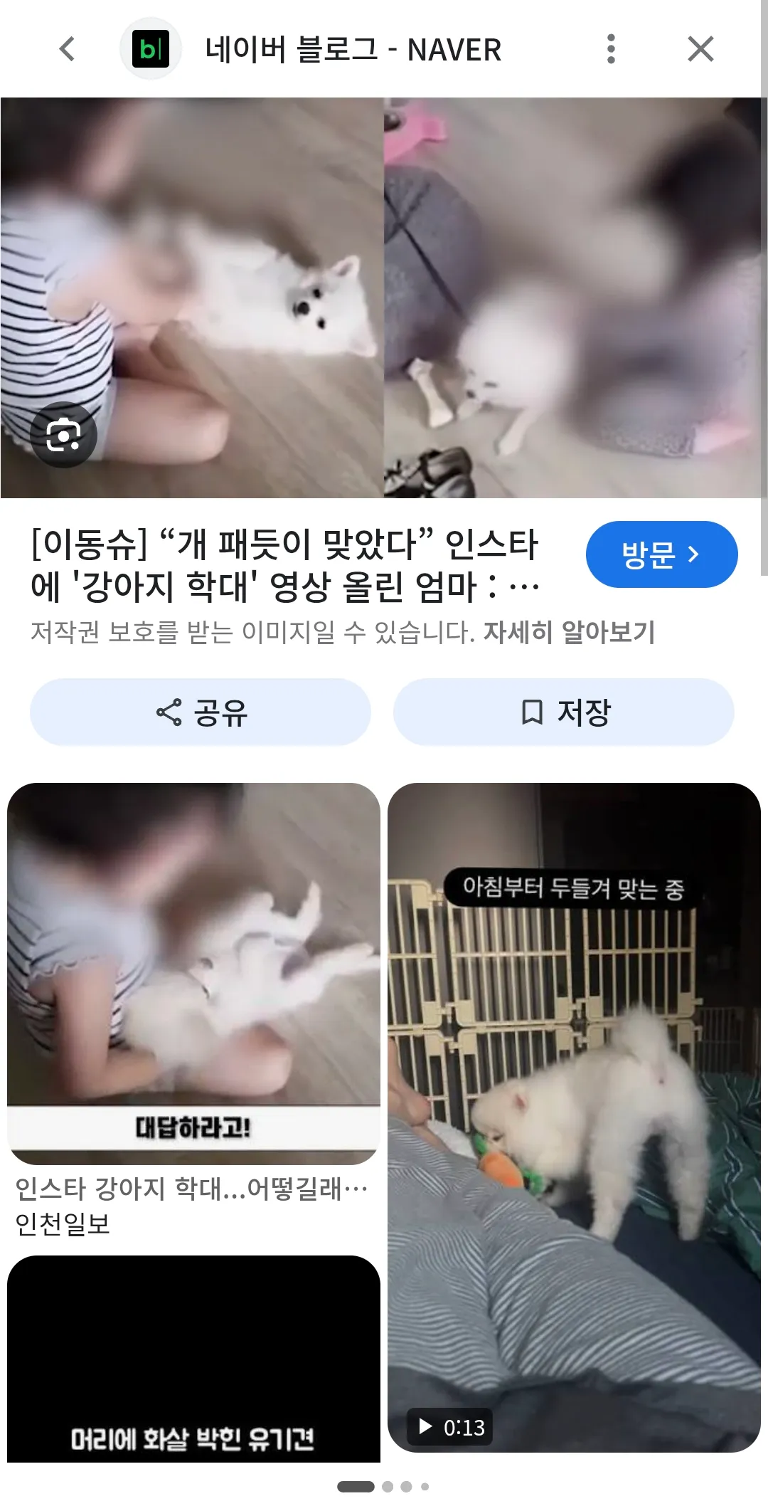 연주가 애새끼들 존나싫어하는 이유2
