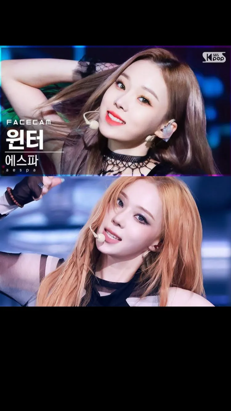 윈터