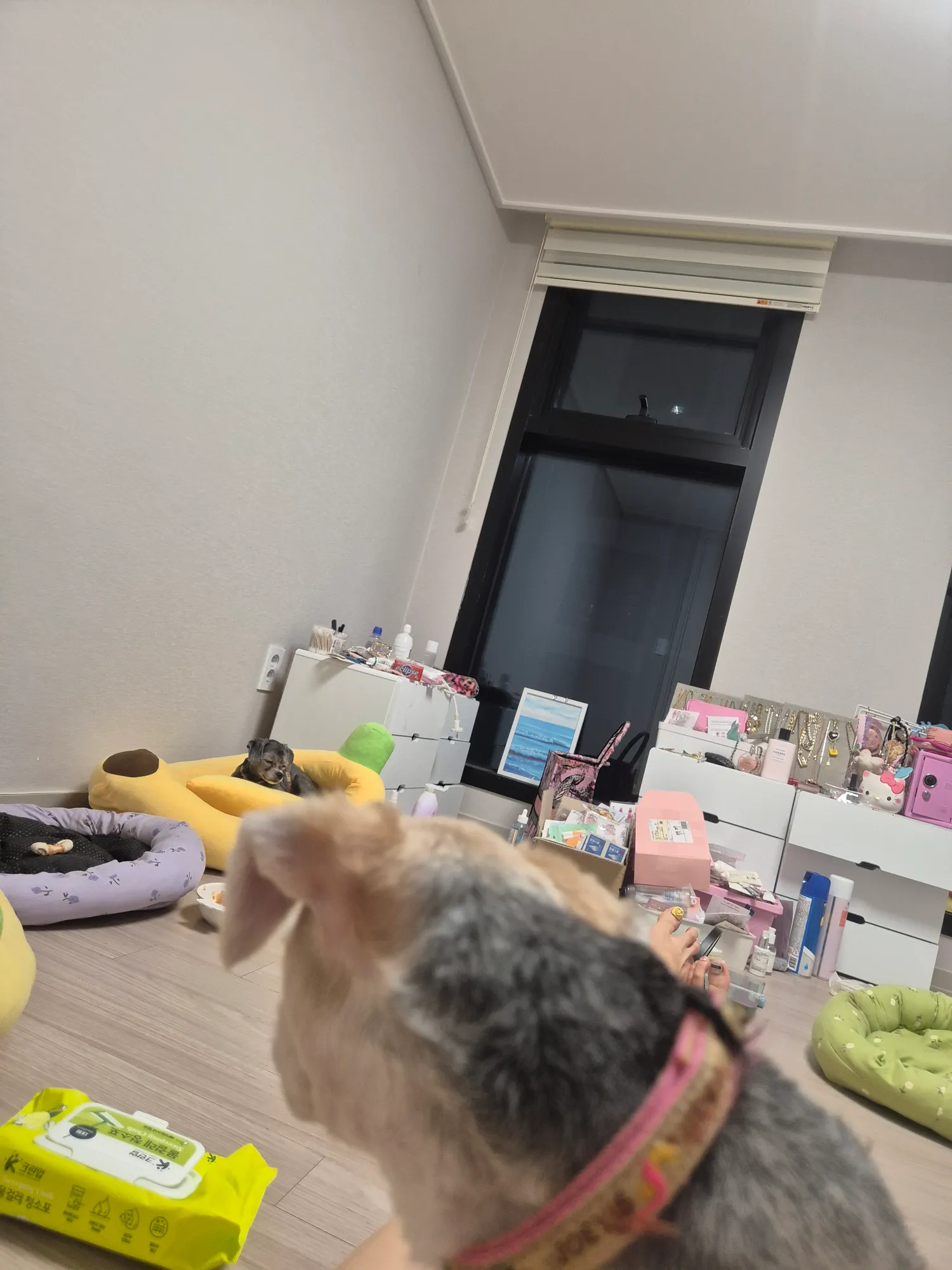 연주한테공기계 기부하실분 댓글