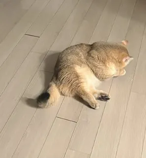 출근하기싫고
