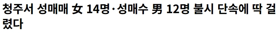 청주서 성매매  불시 단속돌았나보네요