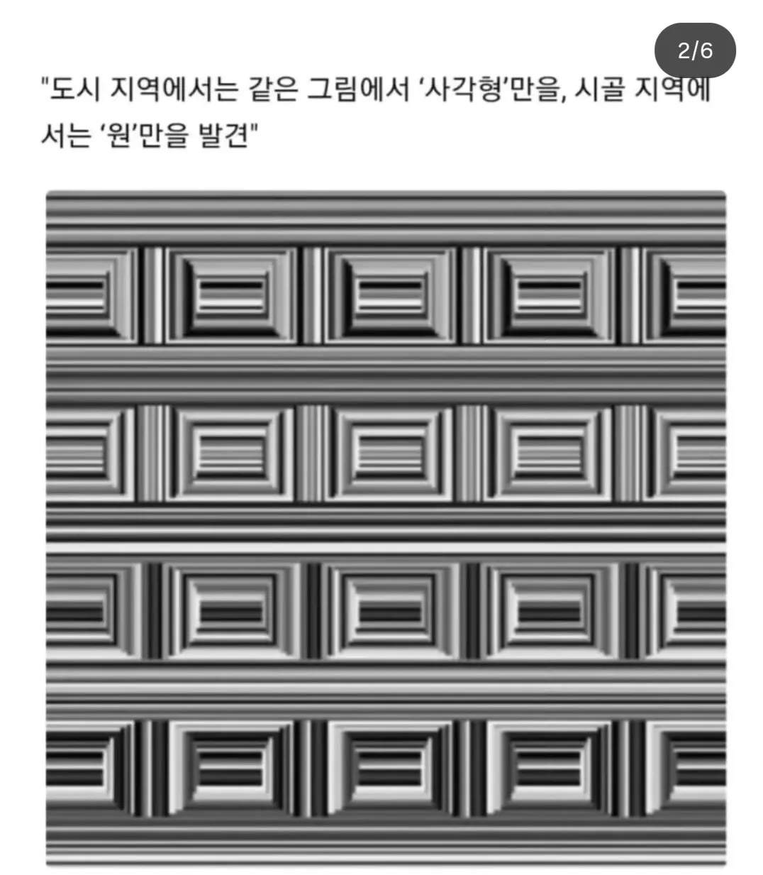 도시 사람은 사각형 시골 사람은 원형이 먼저 보인다는 착시 그림2