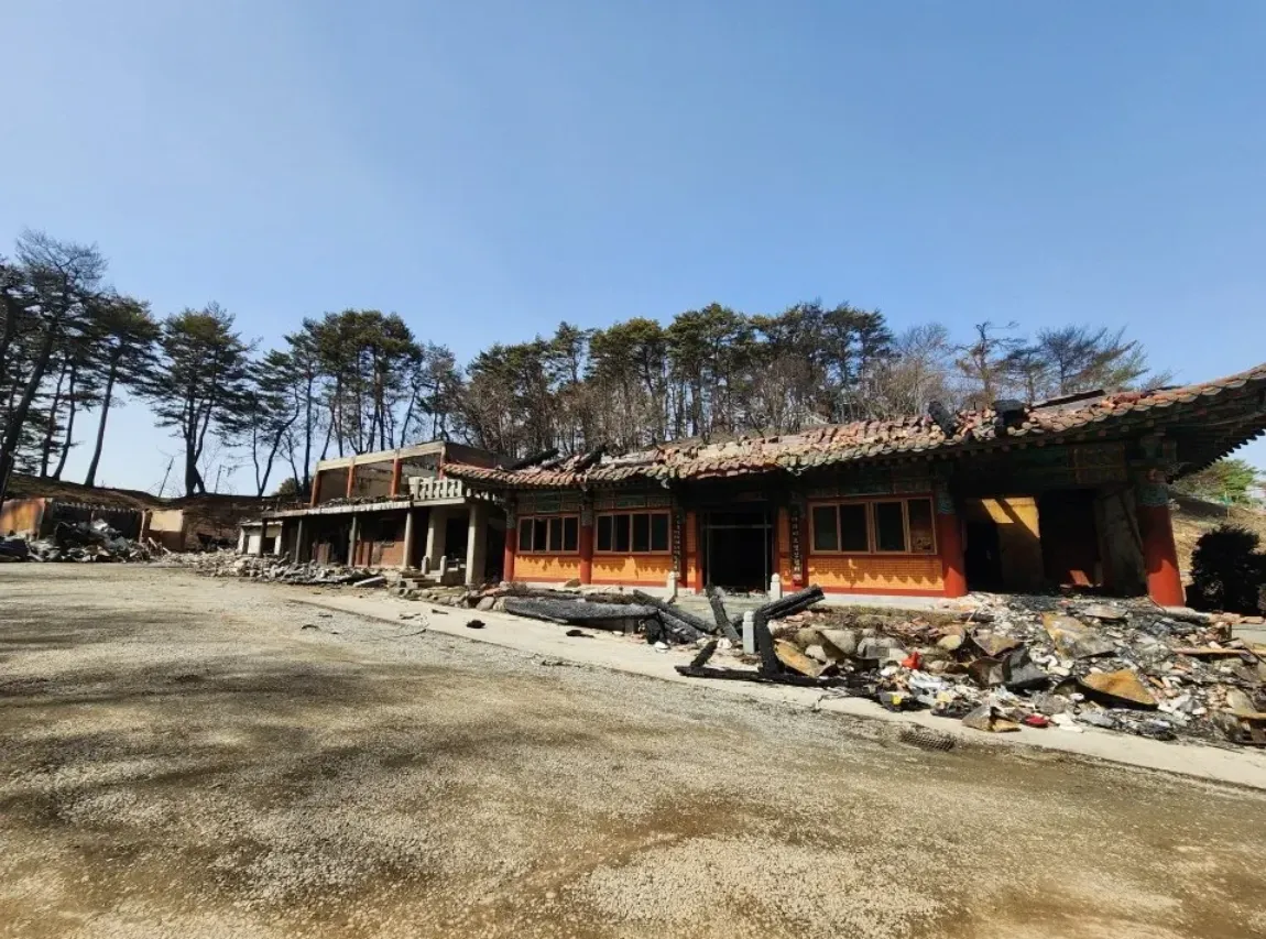 건축도 힙해진 불교 근황
