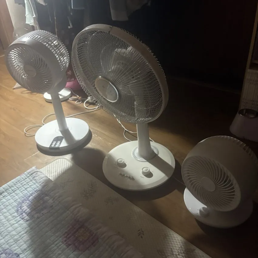 우리엄마처럼 여름에 선풍기 5대 틀고자는 사람들있어요?