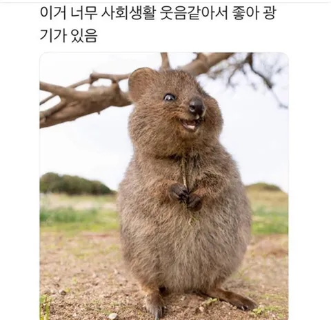 방중일때 내모습 언니들 모습?