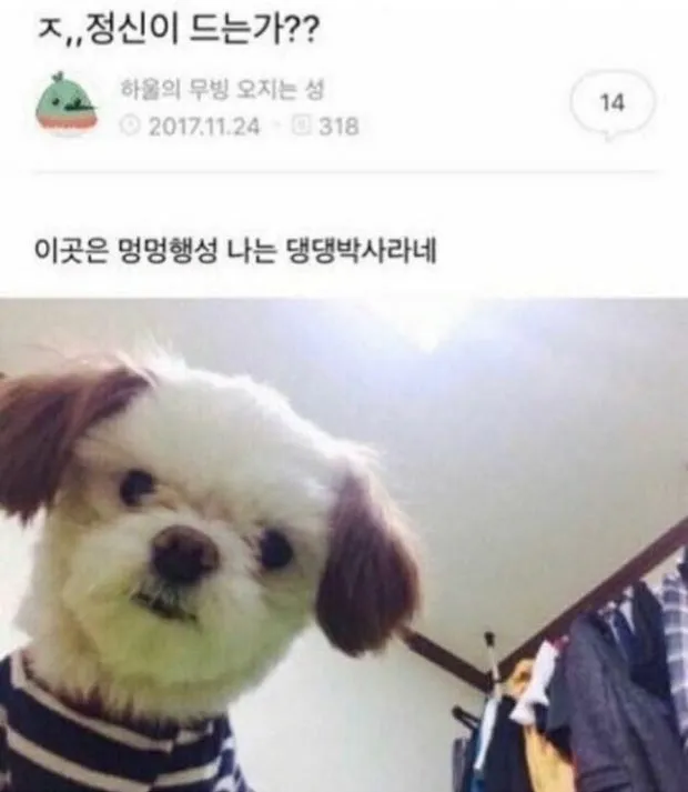강남/텐카페/베이직/하이퍼블릭/달리는토끼ㄷㅌ달토/건호