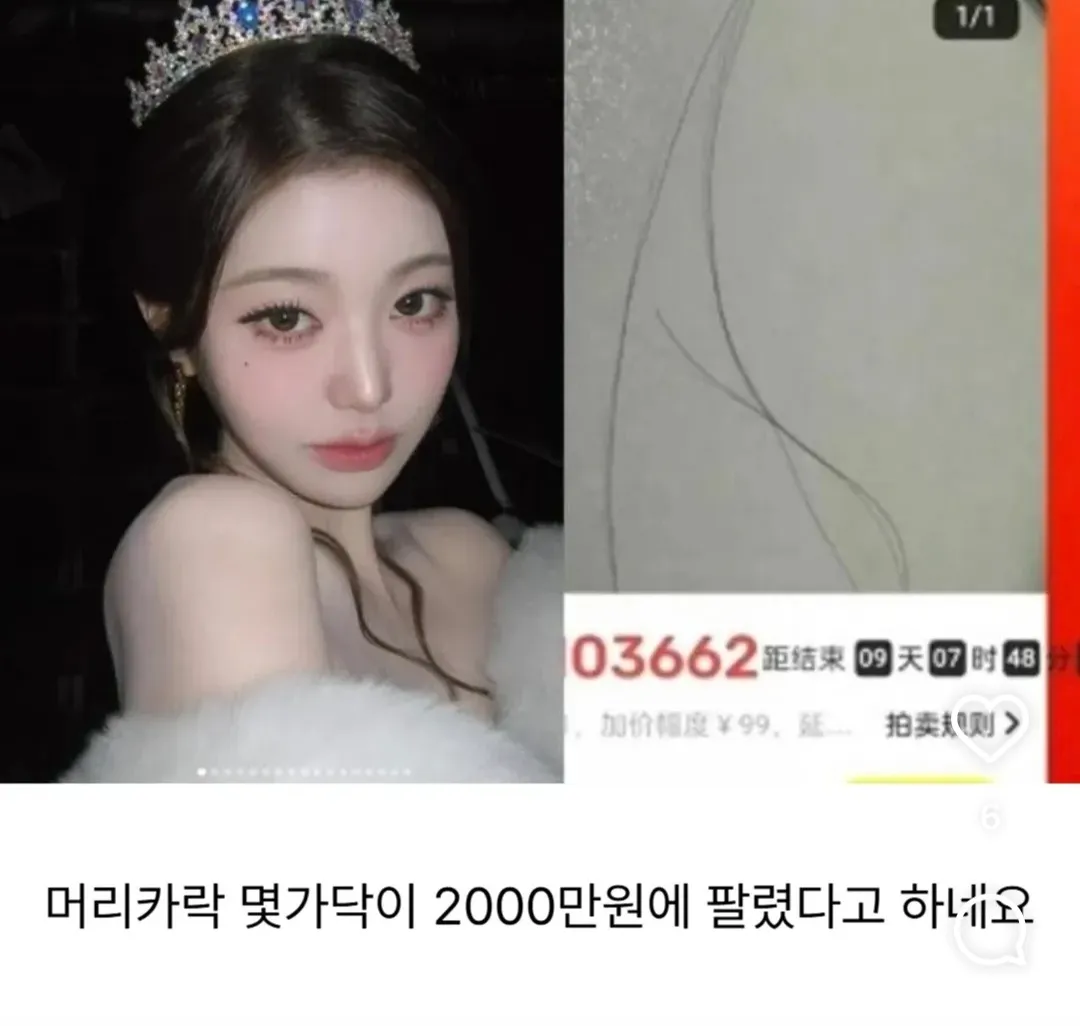 머리카락2